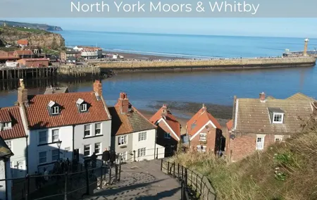 North York Moors and Whitby Day Tour from York