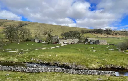 Private "All Creatures Great & Small" Dales Tour from Thirsk