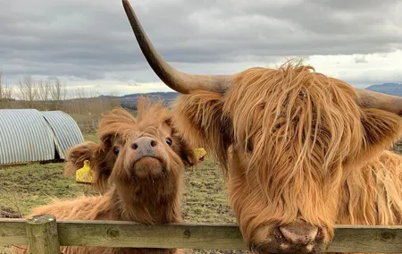 Private Tour of the Scottish Highlands from Edinburgh