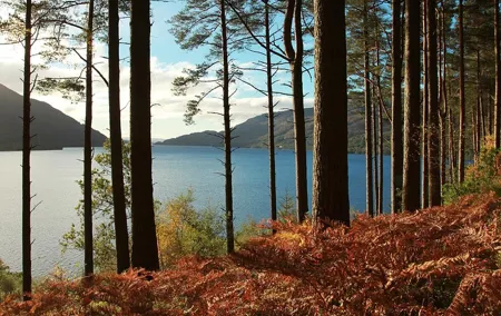 Loch Lomond & Whisky Tour from Glasgow Including Admissions