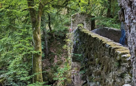 Scone Palace, Nature, Pitlochry, Whisky Experience from Glasgow