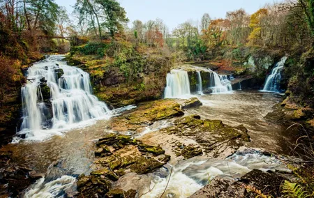 Hike World Heritage Reserve Waterfalls
