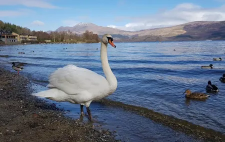 Glorious Scotland Scenic Tour From Glasgow Area