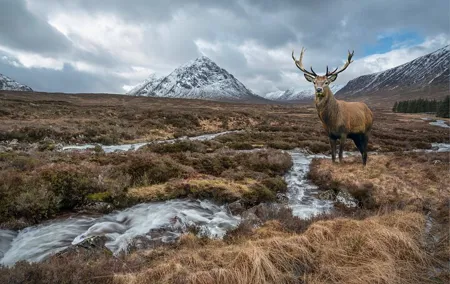 Private Luxury Tour of The Highlands and Loch Ness From Glasgow