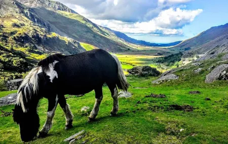 North Wales Sightseeing Adventure Day Trip from Manchester