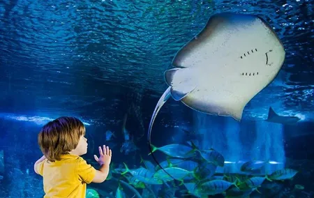 SEA LIFE Manchester Admission Ticket