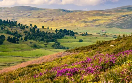 4 Day Journey to Scotland from Manchester Including Admissions