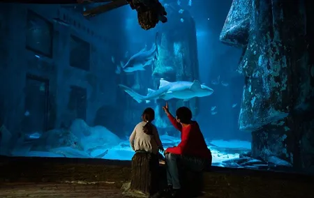 SEA LIFE London Aquarium Admission Ticket