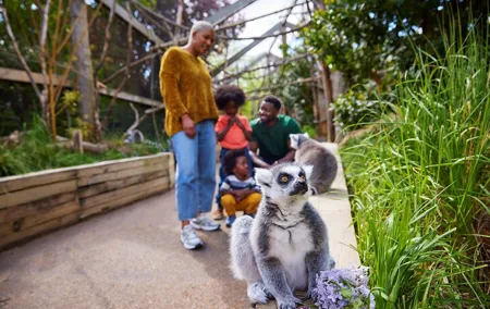 London Zoo Entry Ticket