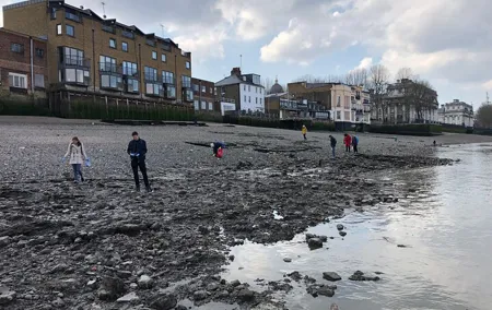 Thames Beachcombing