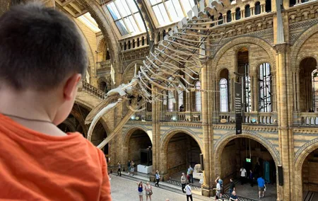 Kid-Friendly Natural History Museum & Dinosaurs Private Guided Tour in London