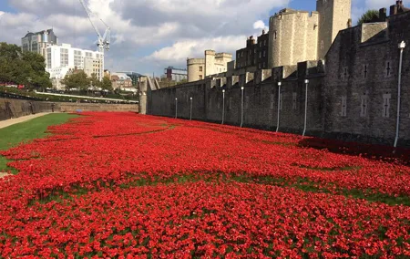 Tower of London Private Guided Tour