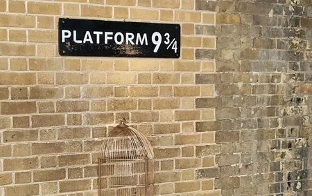 Harry Potter Black Taxi Private Tour of London with Hotel Pickup
