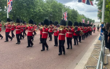 Changing Of The Guard Private Black Cab Tour with Hotel Pick Up