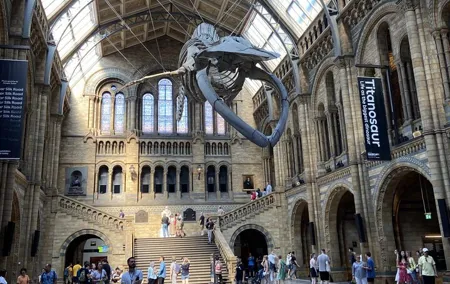 Natural History Museum Self-guided Tour for Kids in English