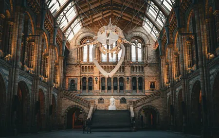 Natural History Museum Walking Guided Tour of London
