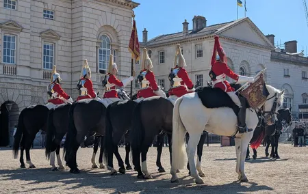 Changing of the Guard Guided Walking Tour & Westminster Landmarks