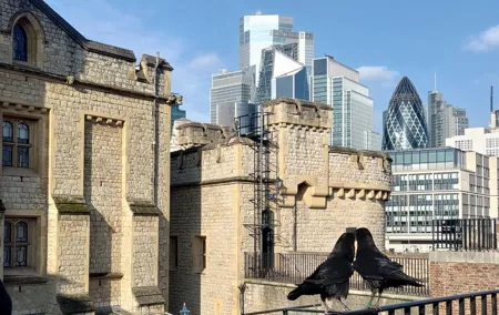 Tower of London and Tower Bridge Private Tour