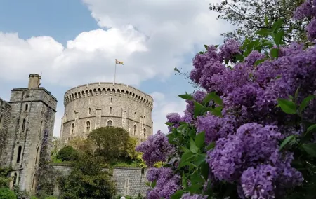 Private Guided Tour of Windsor Castle PLUS and History