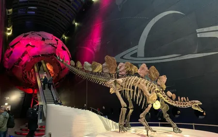 Private Guided Tour of Natural History Museum - Skip the Line