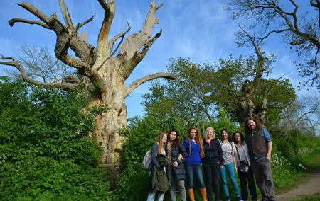 Eight Day Tour of Sacred England