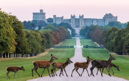 Private One Way or Round Trip Transfer from Heathrow Airport to Windsor