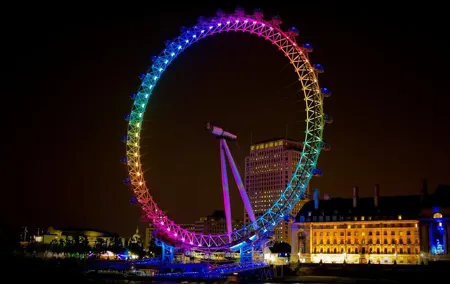Blue Badge Guided City Tour of London With Minivan for Half Day