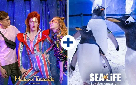 Combo Ticket: Madame Tussauds & SEA LIFE London Aquarium