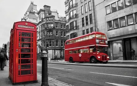 Total London Experience including Blue Badge Tour Guide