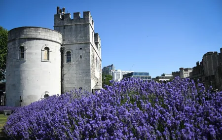 Westminster Private Walking Tour & Visit The Tower of London