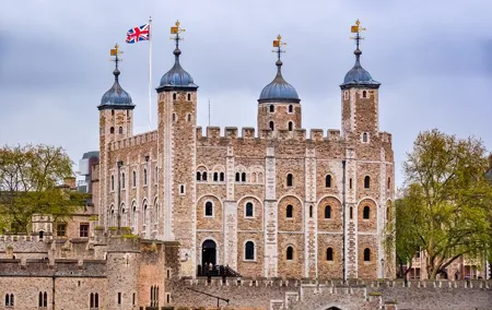 London Car Tour, Tower, Westminster, St Paul & British Museum