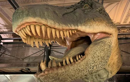 Mamma Mia! Discover the Dinosaurs at London Natural History Museum Tour for Kids