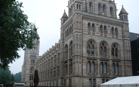 A Day at the Museum - Natural History Museum London