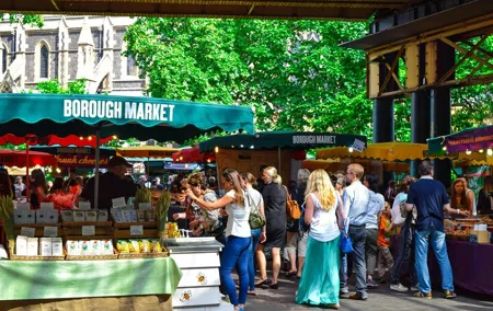 London 30+ Sights in One Day with Blue Badge Expert Guided Tour