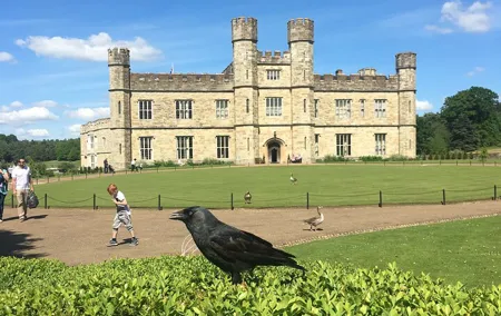 Leeds Castle Private Tour From London With Admission Tickets
