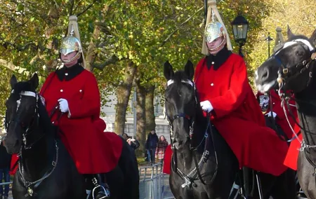 Private Walking Tour of Royal London with Changing of the Guard