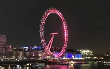 London's City Lights by Night Private Tour