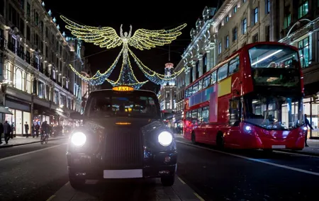 Private Christmas Lights Black Taxi Tour With Guide