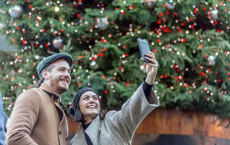 Magical London Christmas Lights (Private Tour)