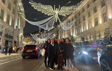 London Christmas Lights Private Black Cab Tour with Hotel Pick Up