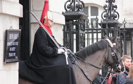 Discover the Secrets of Whitehall