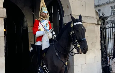 The Ultimate London City Tour
