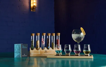 London Gin tasting and Masterclass