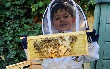 Discover active beehives in London