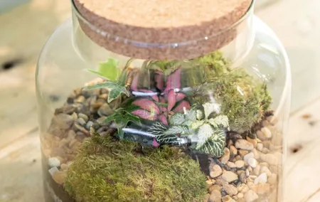 Terrarium Masterclass Experience in London
