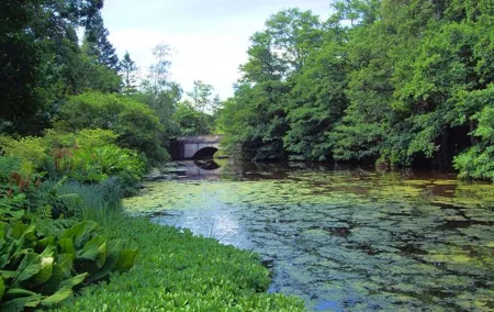 Country Garden Independent Half Day Private Tour
