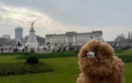 London Private Guided City Tour by Car