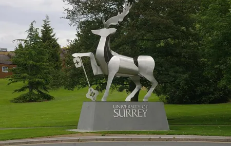 Private One Way or Round Trip Transfer: Heathrow Airport to Guildford