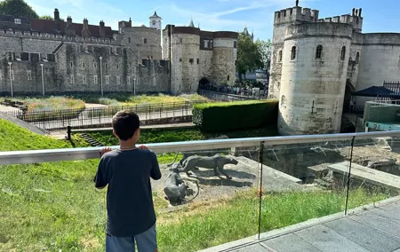 Tower of London and Tower Bridge Guided Family Tour for Kids