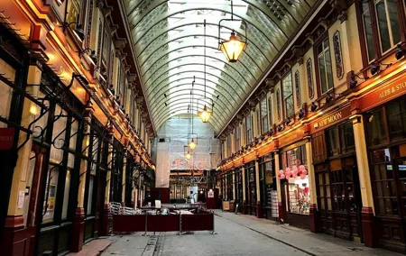 Harry Potter's 8-Day Private English Course and London Tour